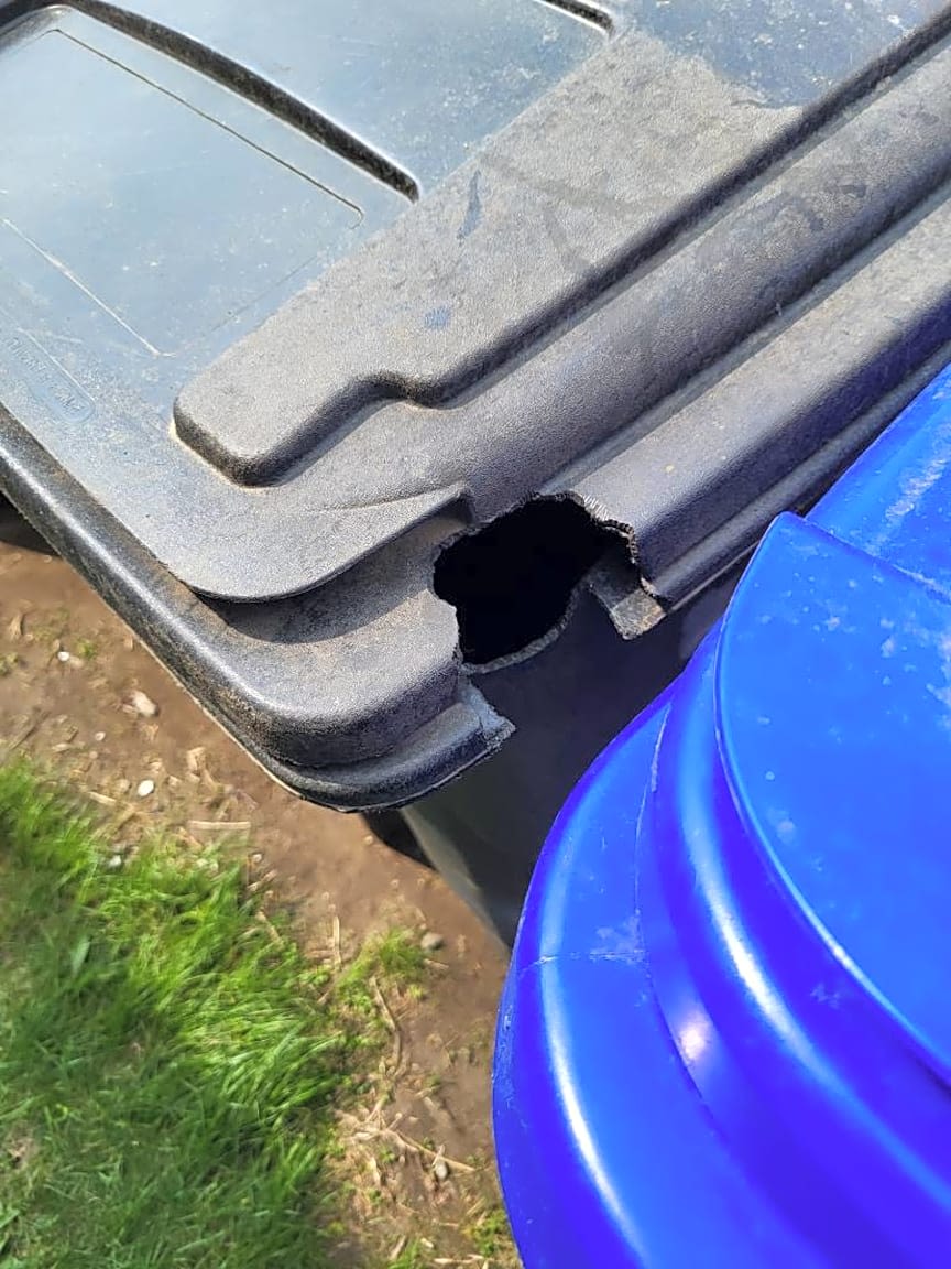 Image submitted with report