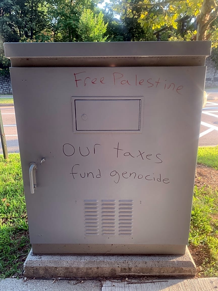 Image submitted with report