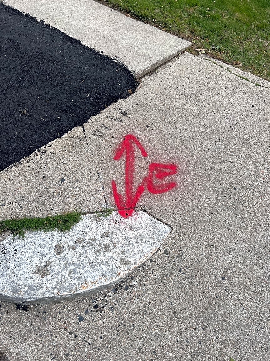 Image submitted with report