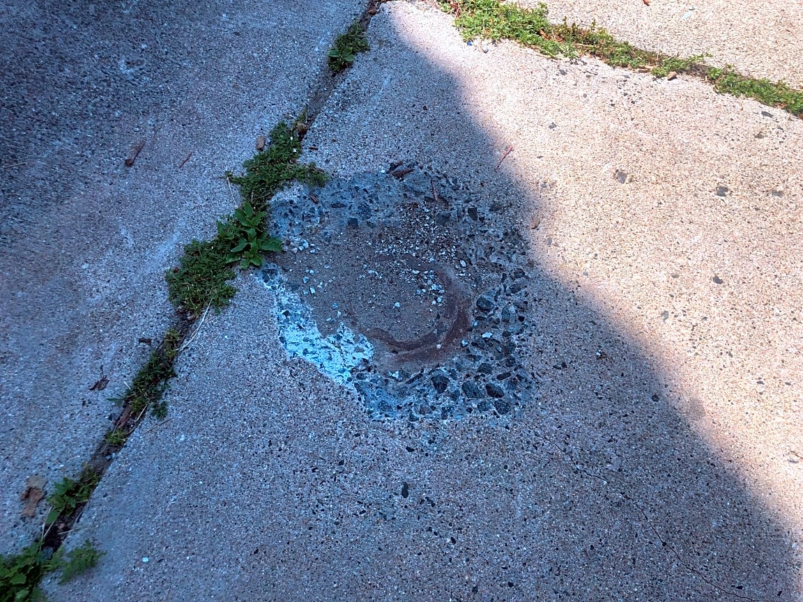 Image submitted with report