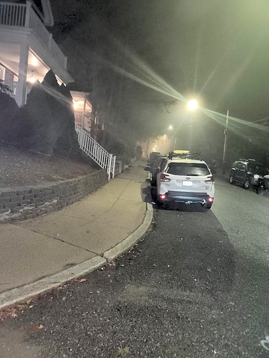 Image submitted with report