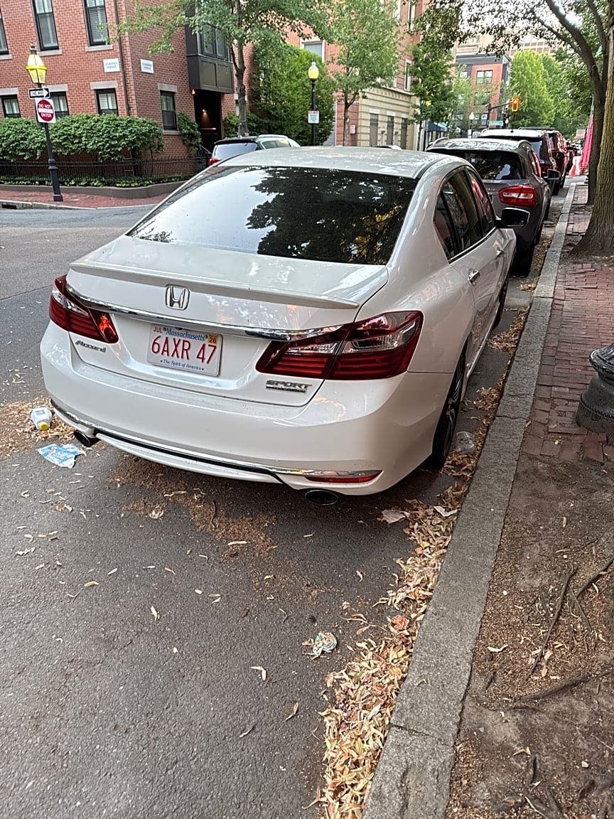 Image submitted with report