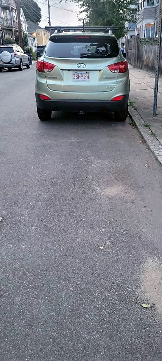 Image submitted with report