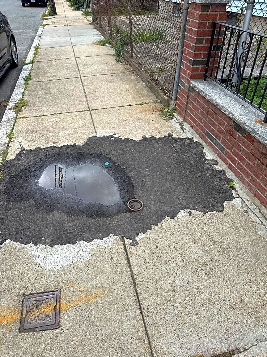 Image submitted with report