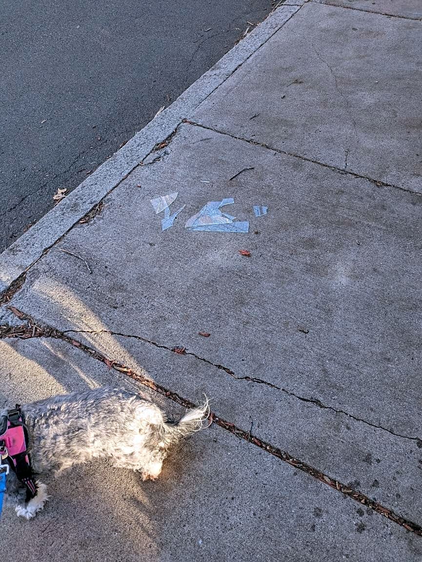 Image submitted with report