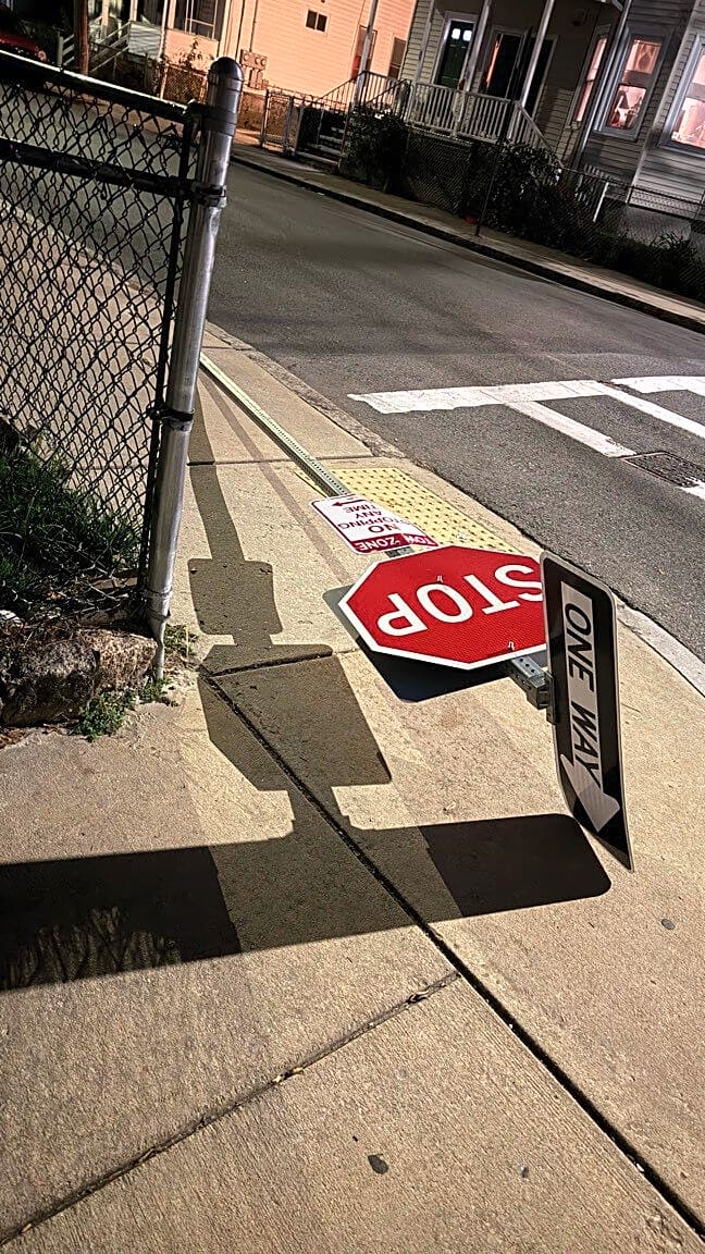 Image submitted with report