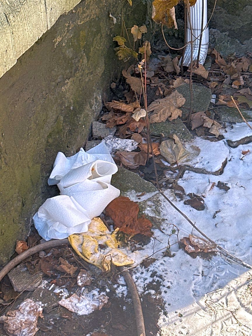 Image submitted with report