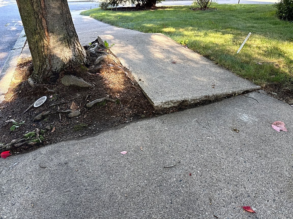 Image submitted with report