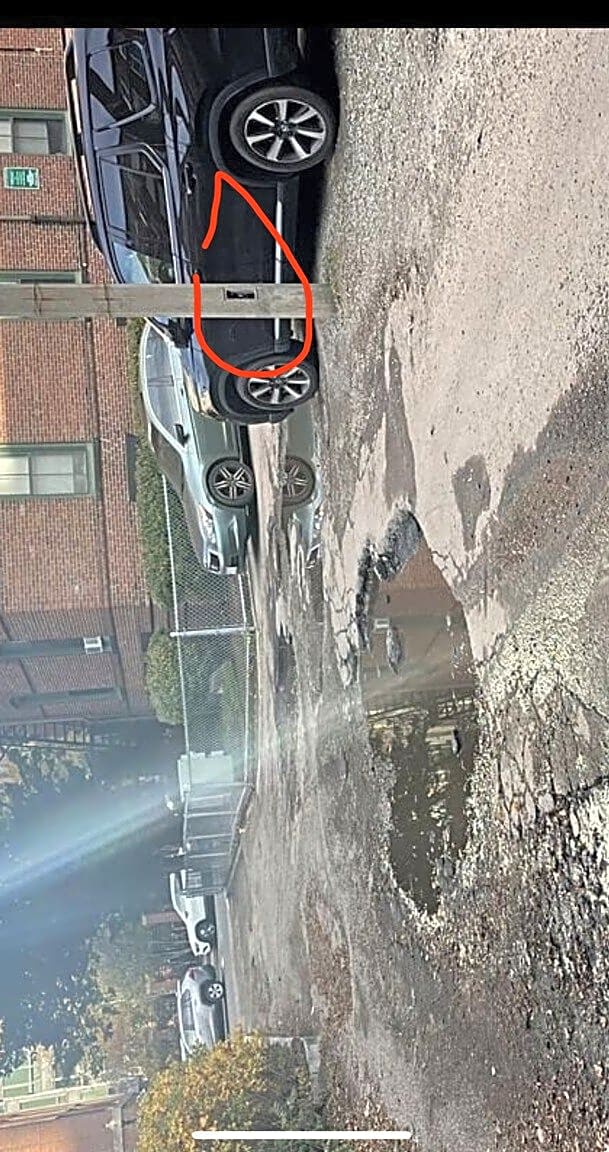 Image submitted with report