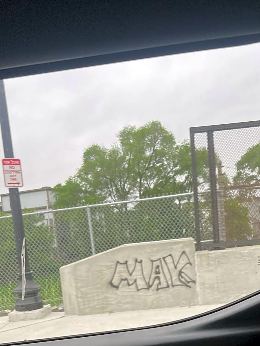 Image submitted with report