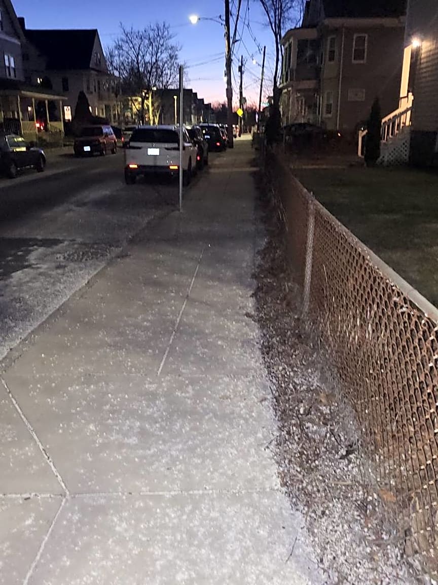 Image submitted with report