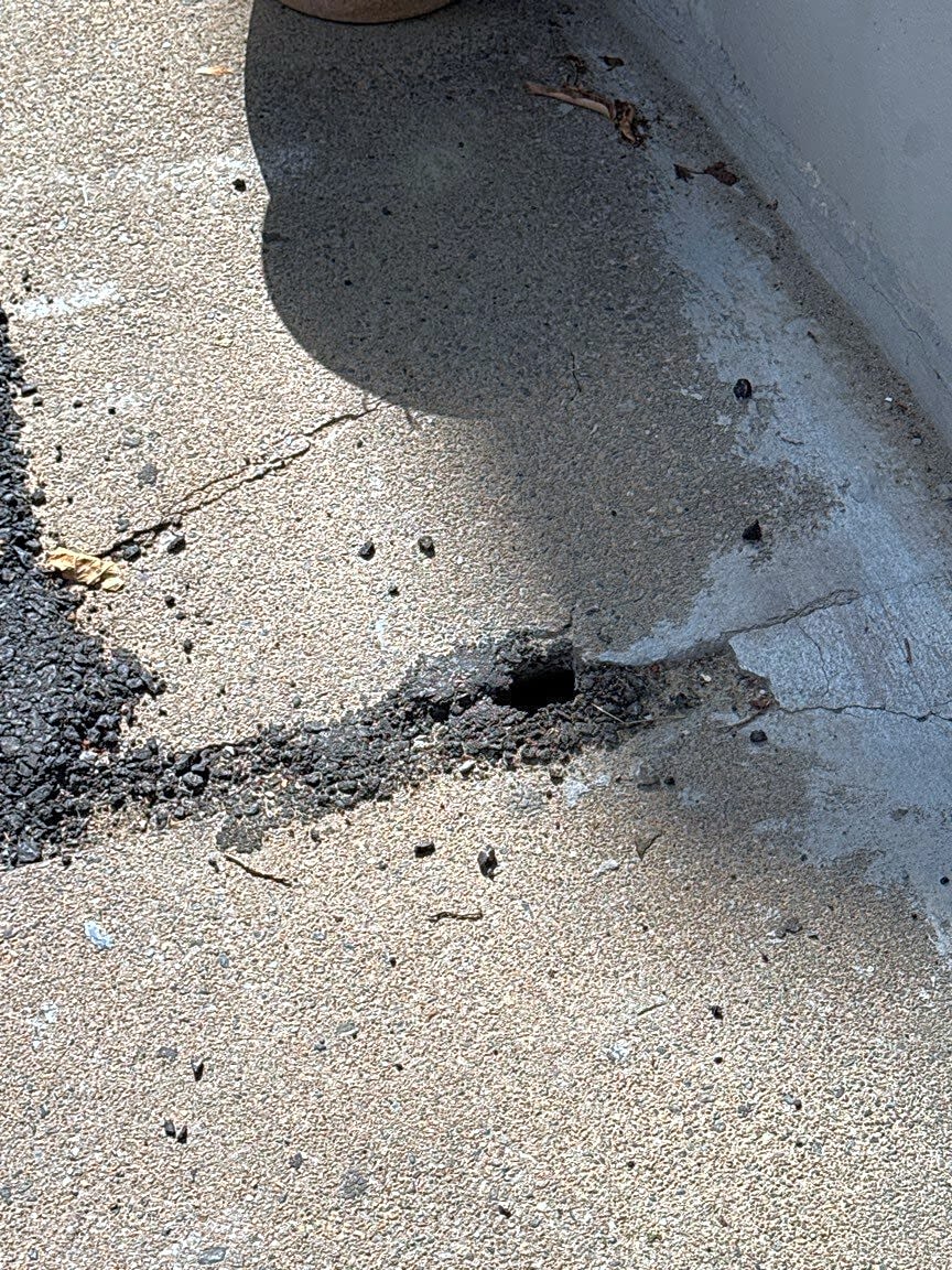 Image submitted with report