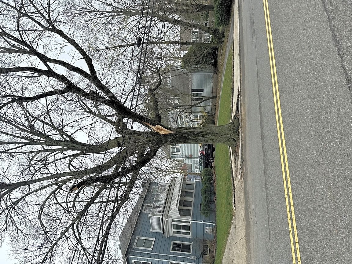 Boston