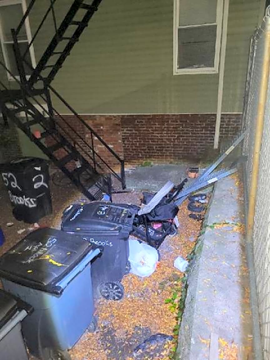 Image submitted with report