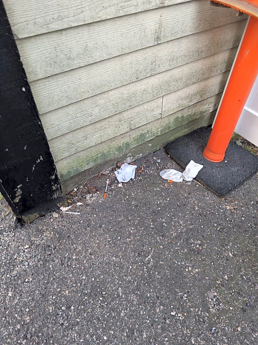 Image submitted with report