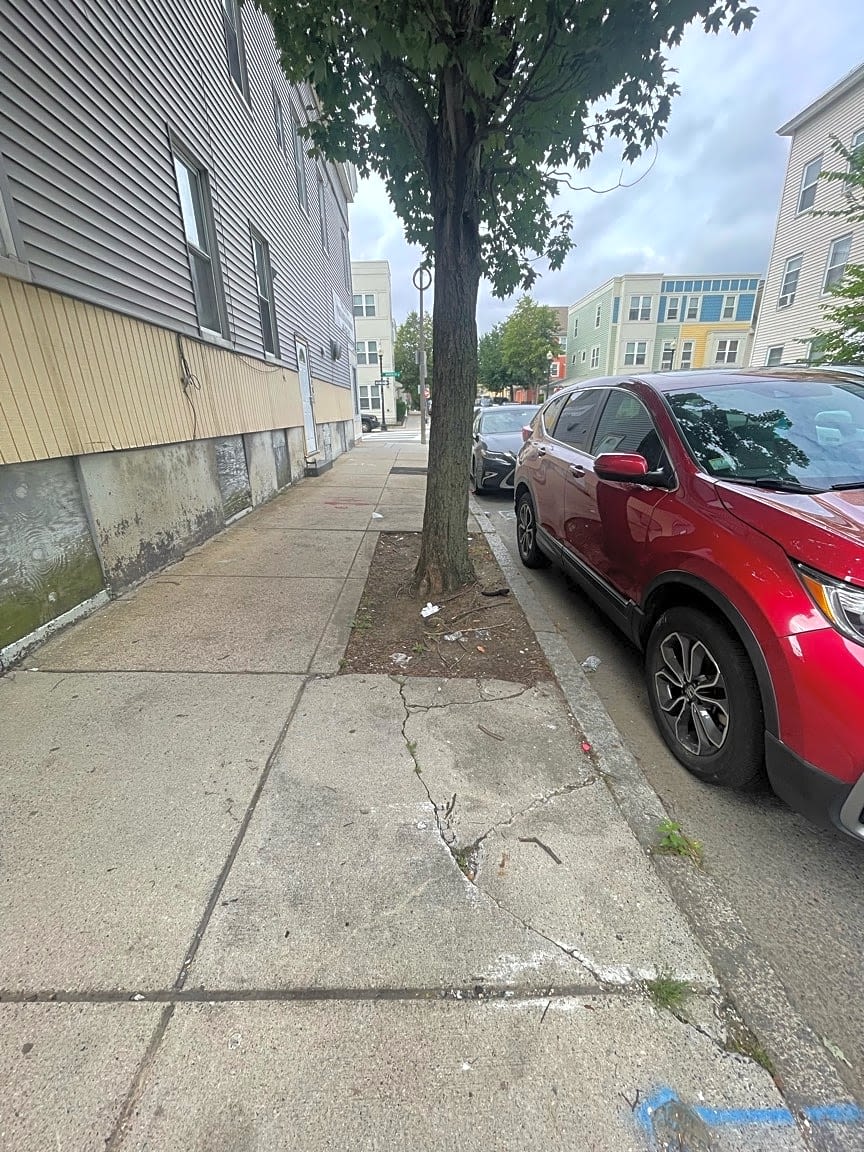 Image submitted with report
