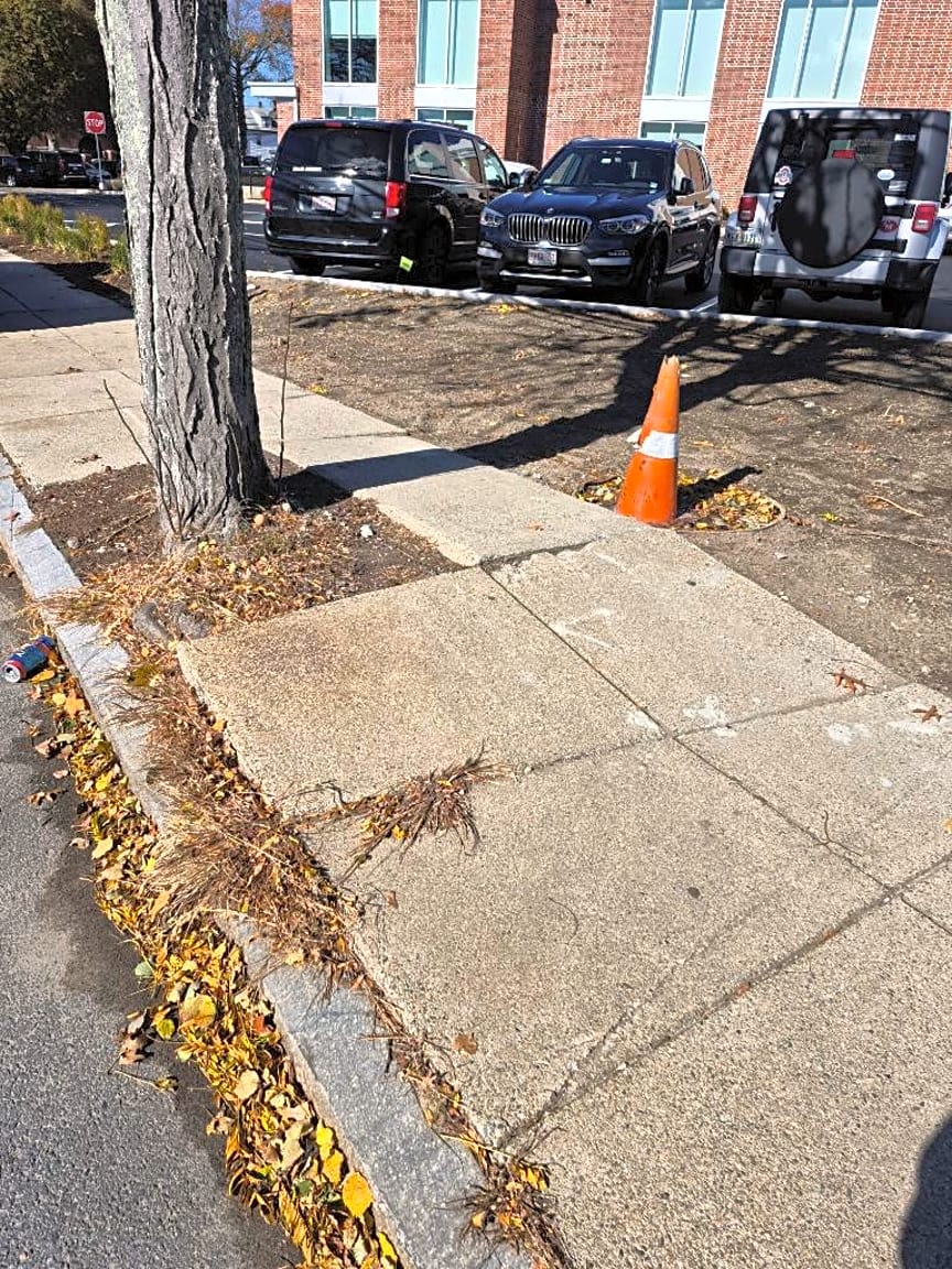 Image submitted with report