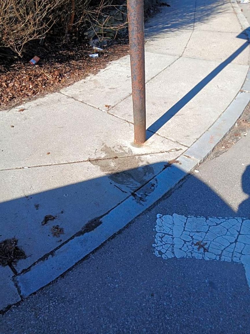 Image submitted with report