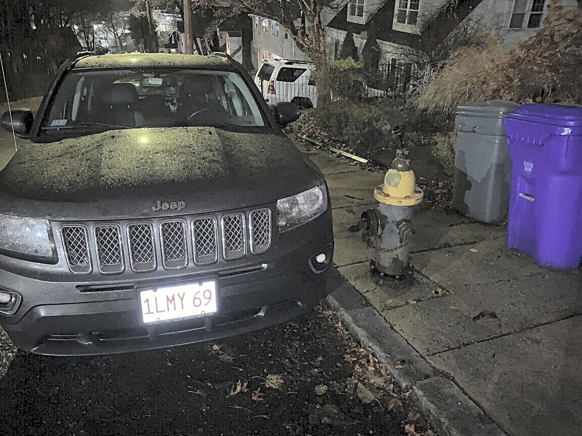 Image submitted with report