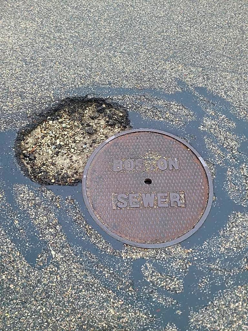 Image submitted with report