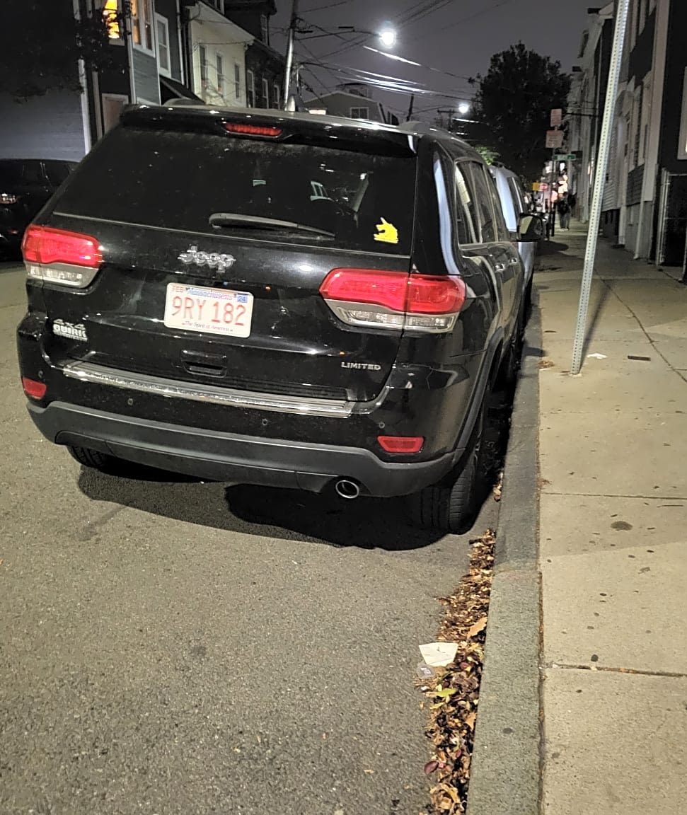 Image submitted with report