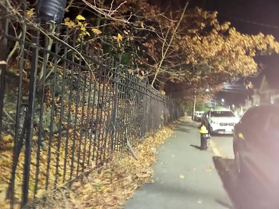 Image submitted with report