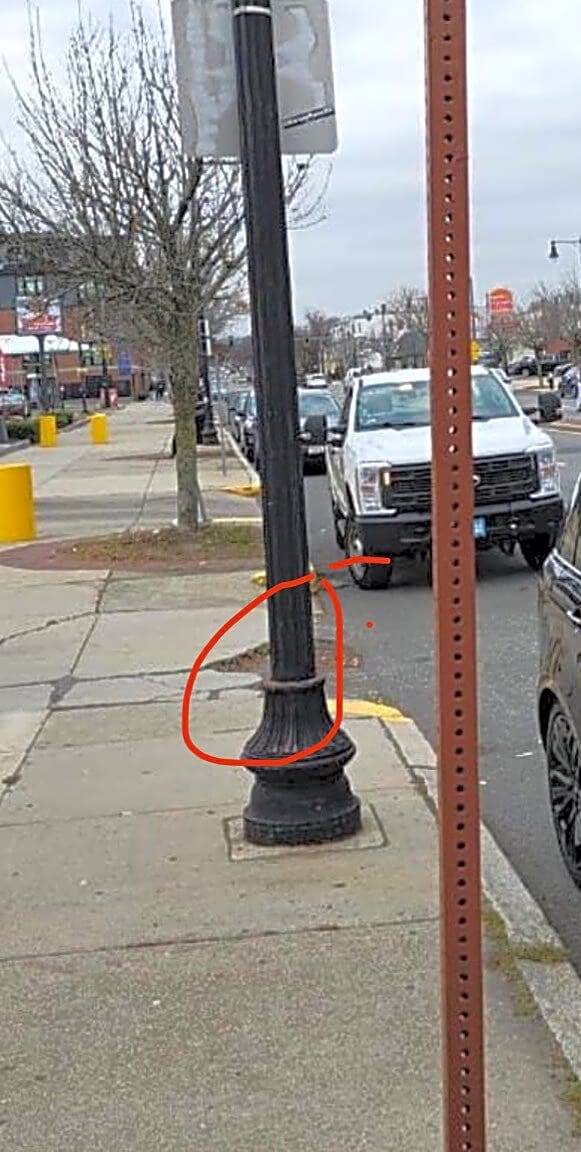 Image submitted with report