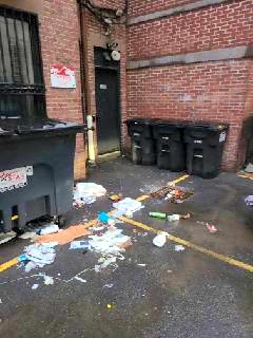 Image submitted with report