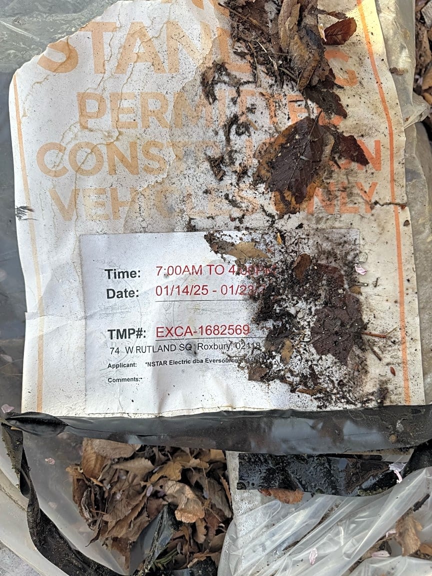 Image submitted with report