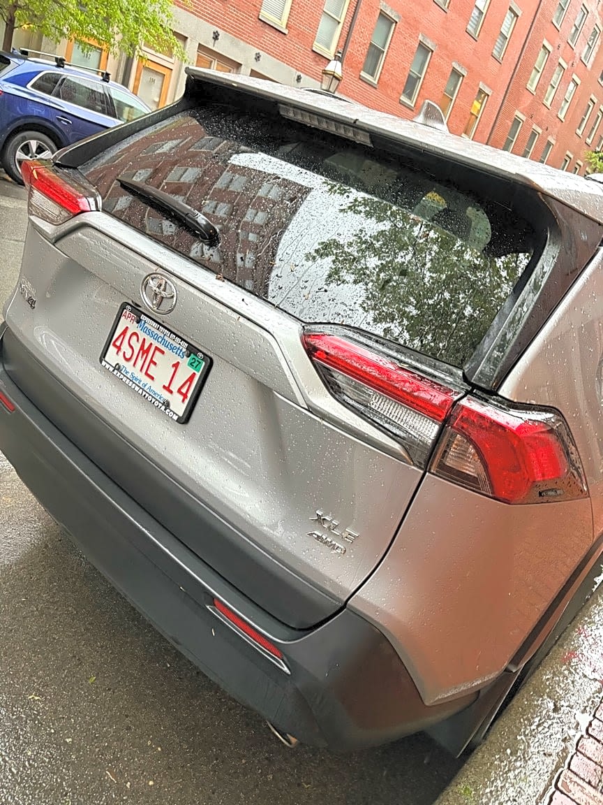 Image submitted with report