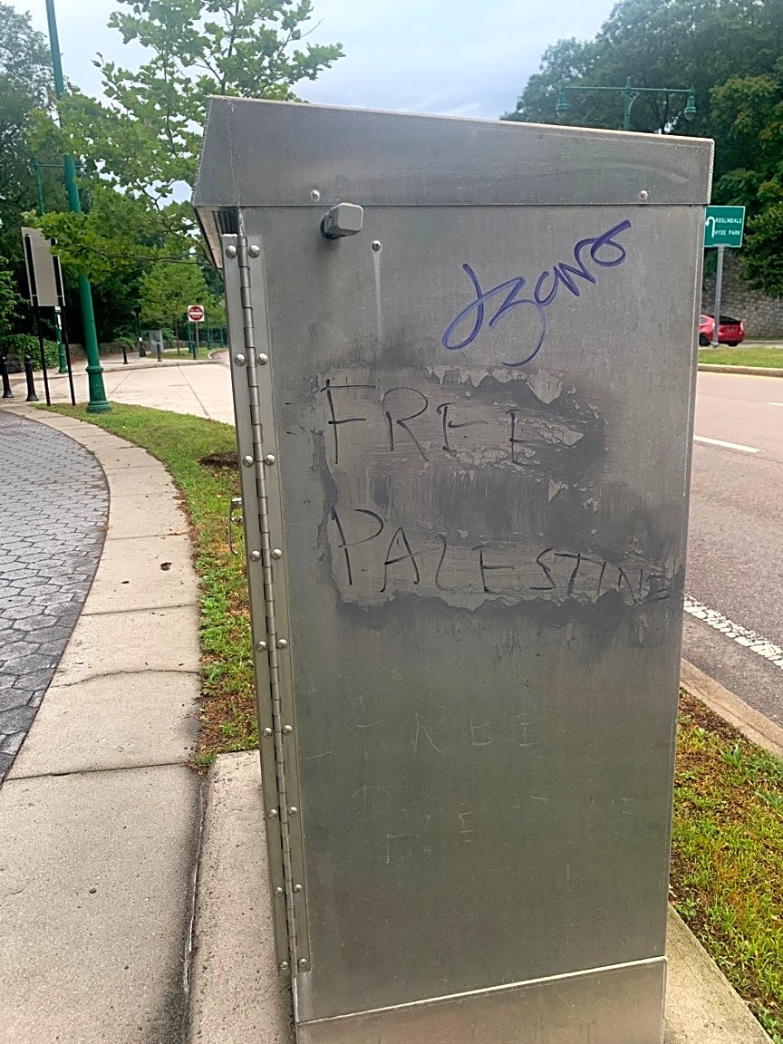 Image submitted with report