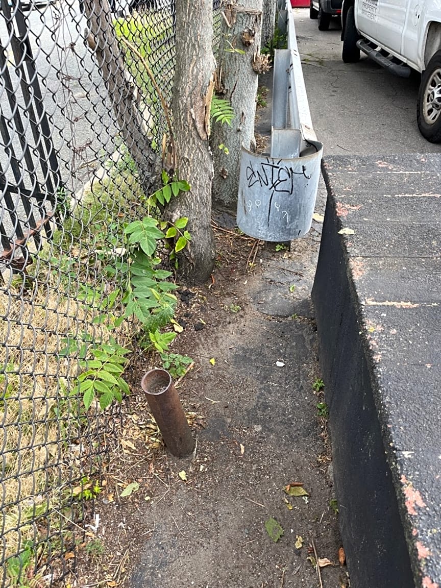 Image submitted with report