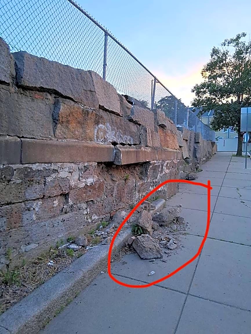 Image submitted with report