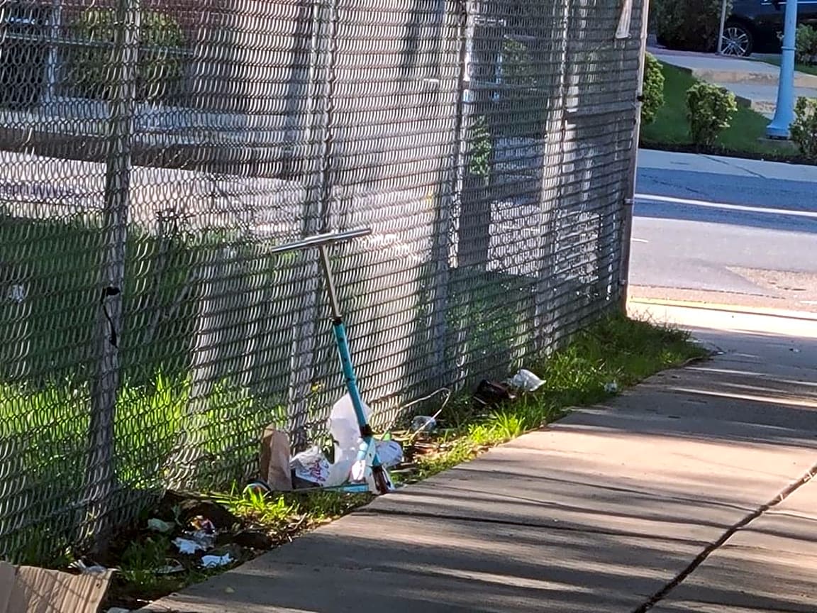 Image submitted with report