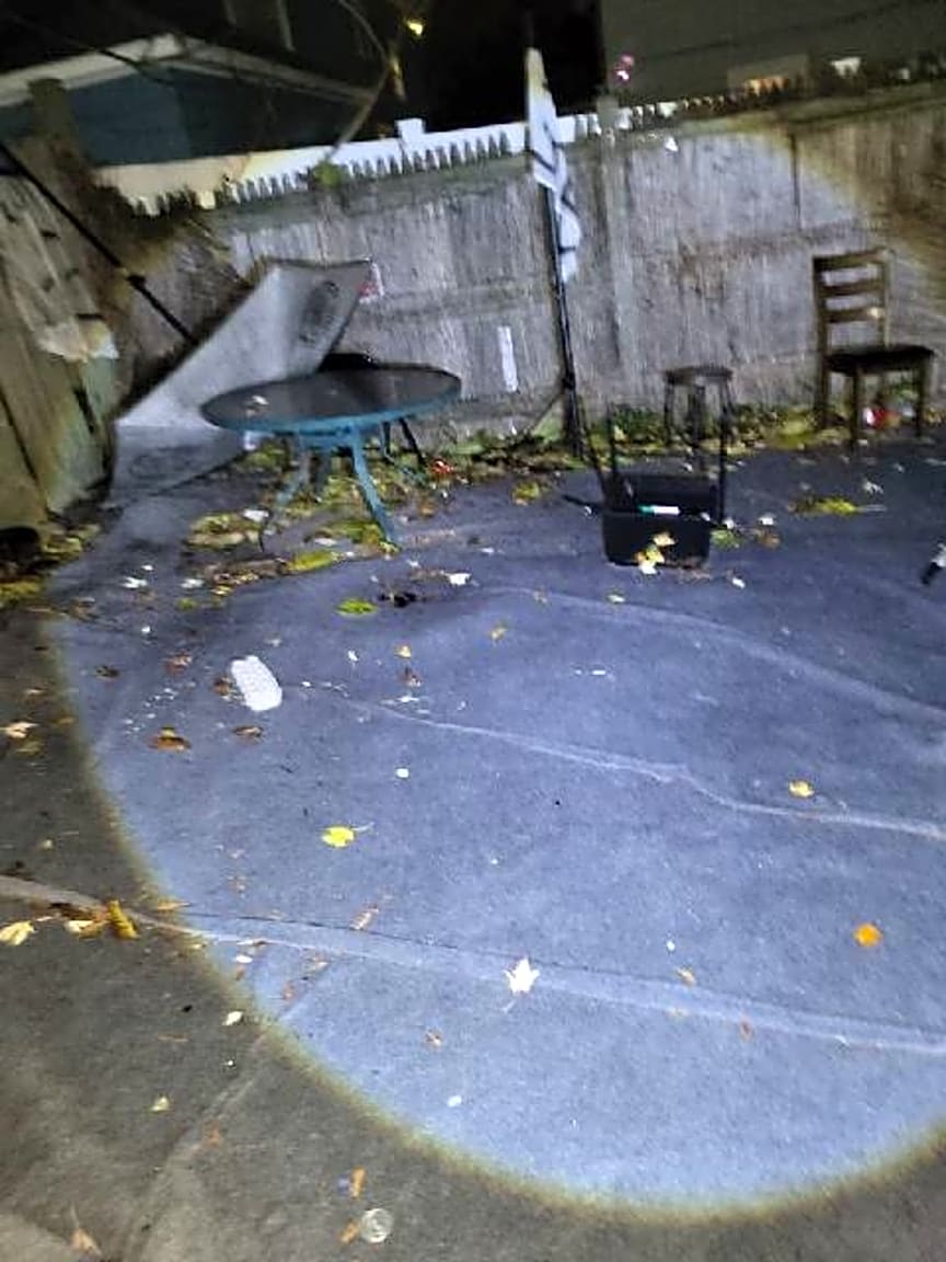 Image submitted with report