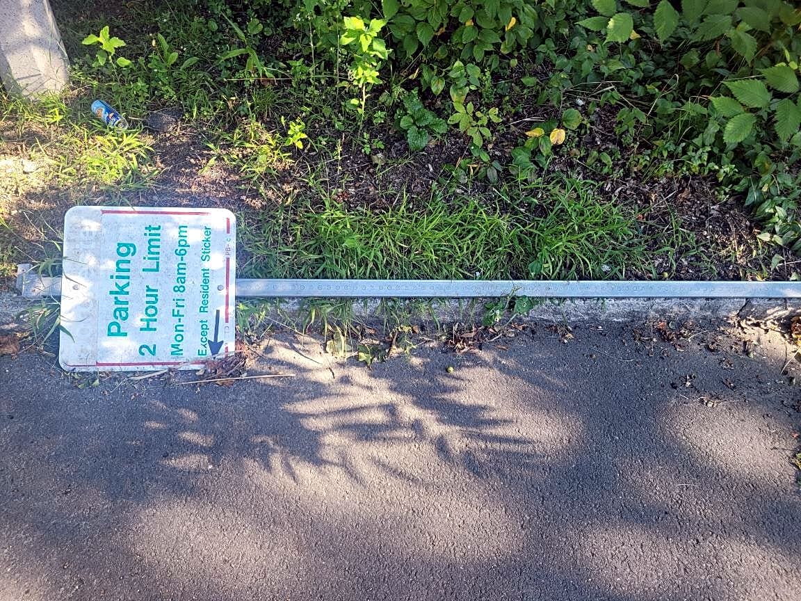 Image submitted with report