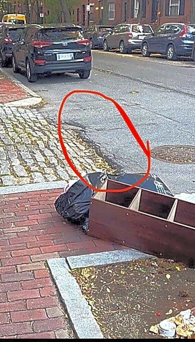 Image submitted with report