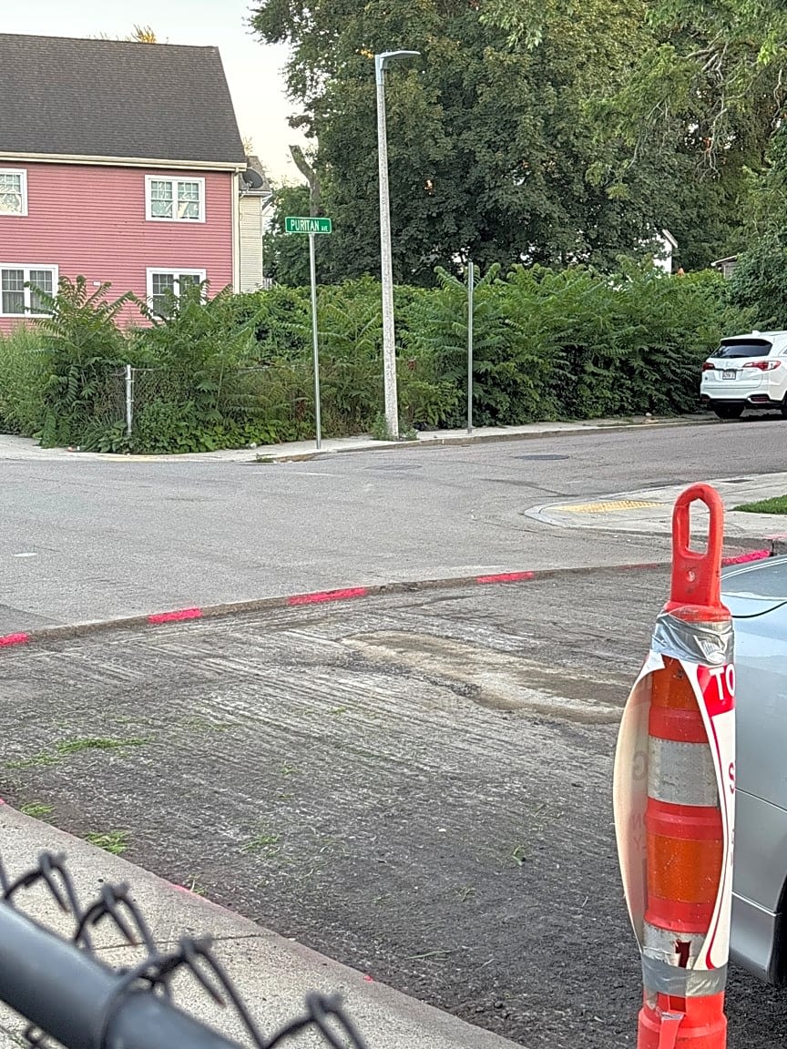 Image submitted with report