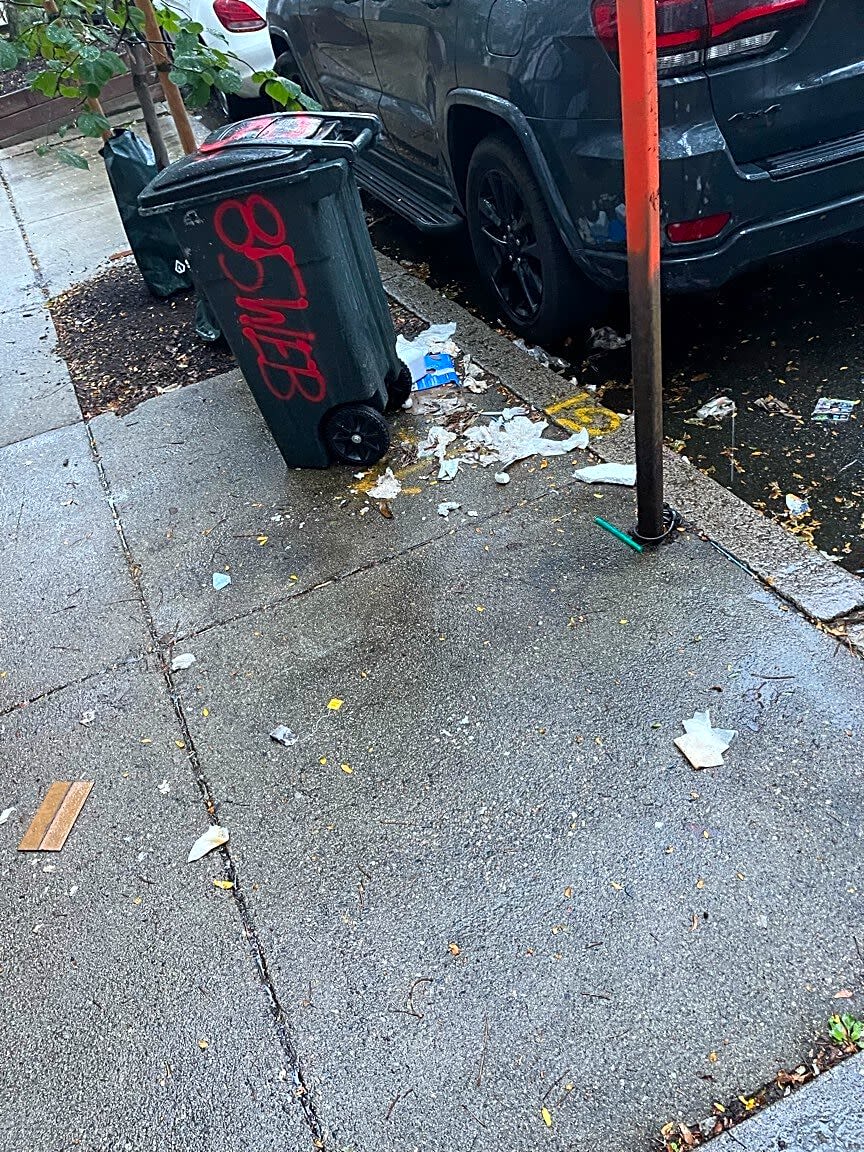 Image submitted with report