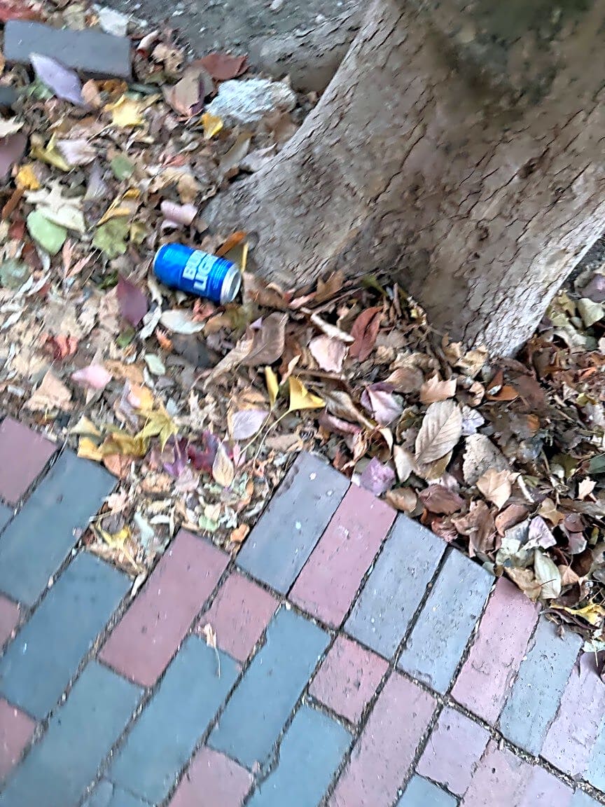 Image submitted with report