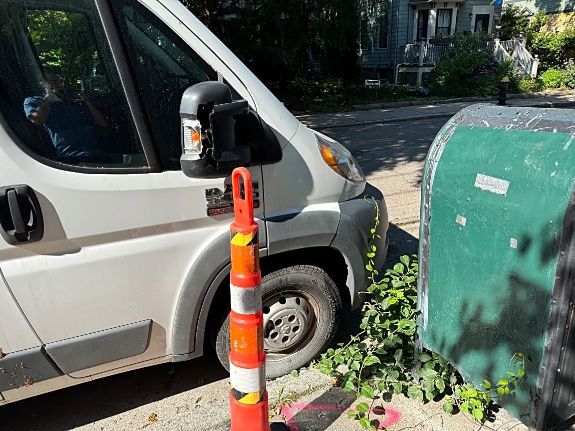 Image submitted with report
