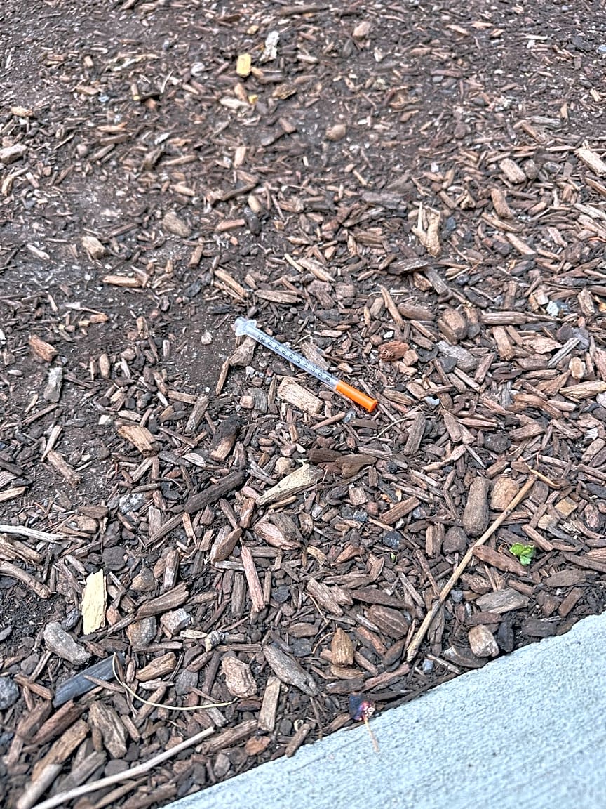 Image submitted with report