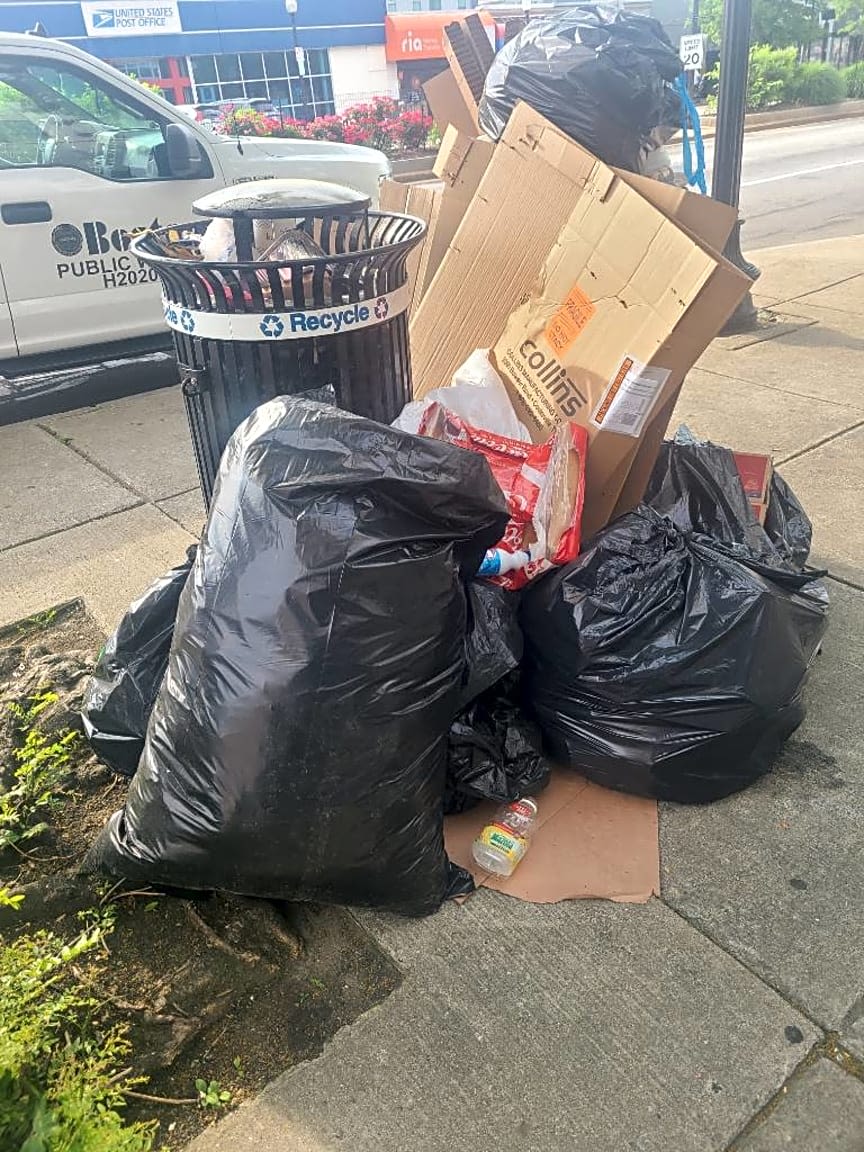 Image submitted with report