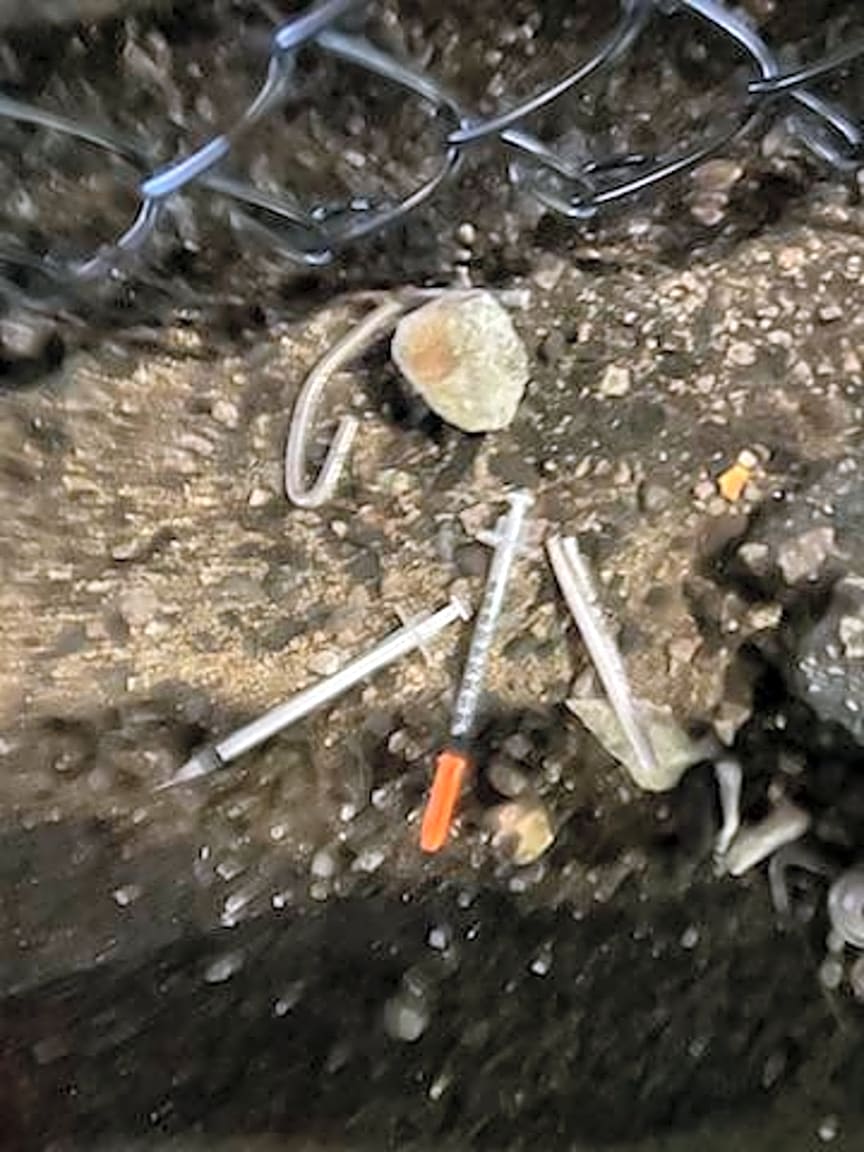 Image submitted with report