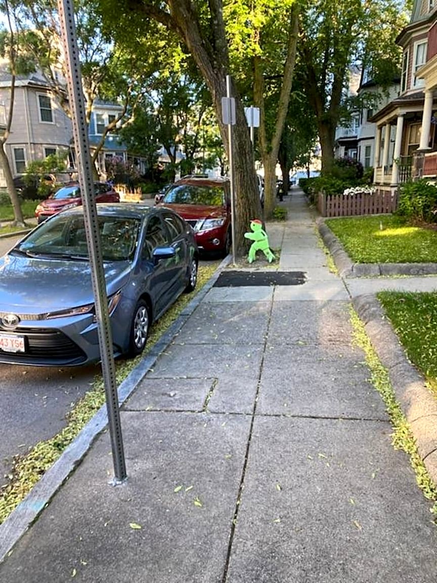 Image submitted with report