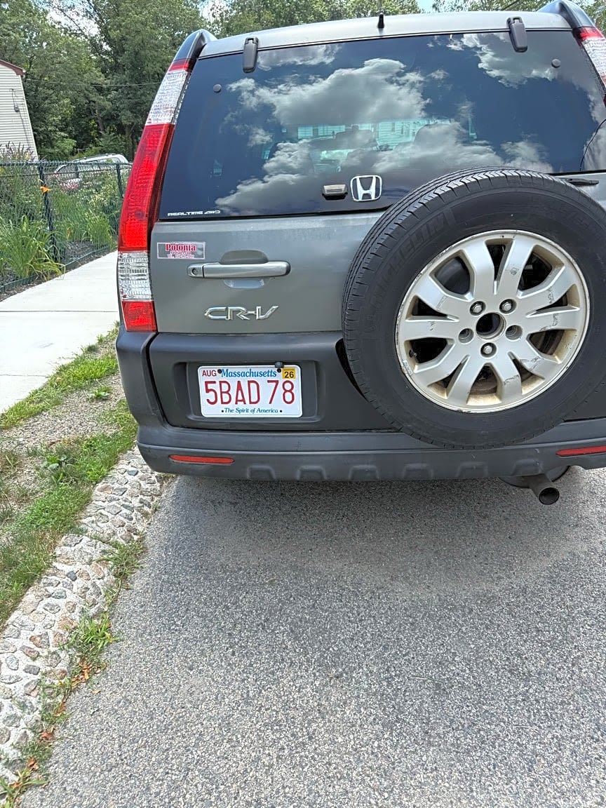 Image submitted with report
