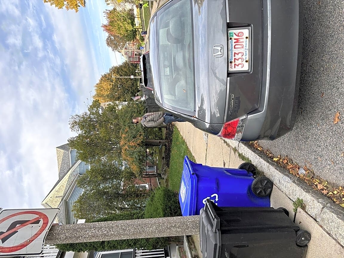 Image submitted with report