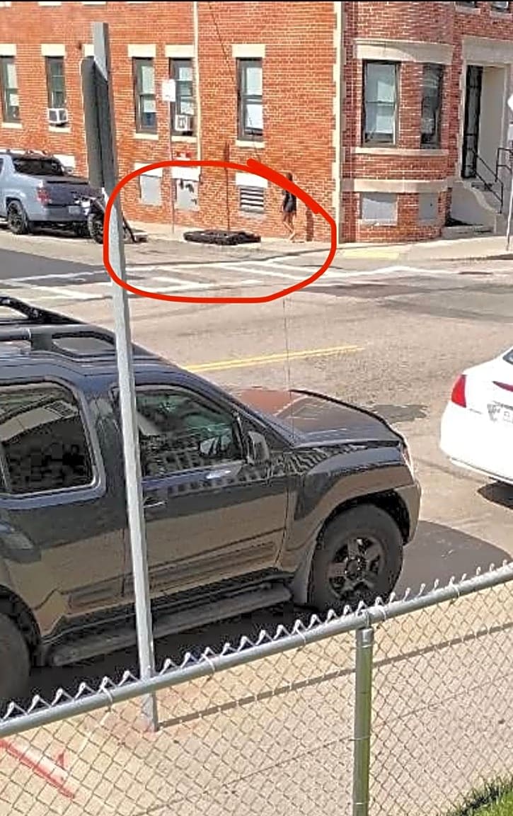 Image submitted with report