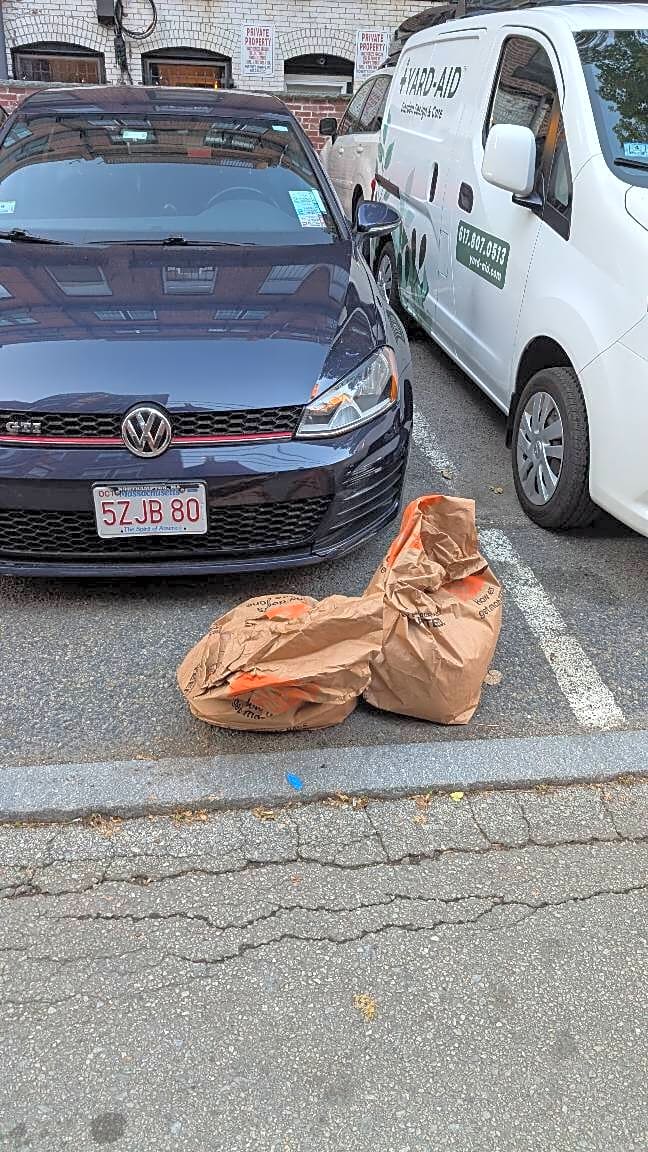 Image submitted with report