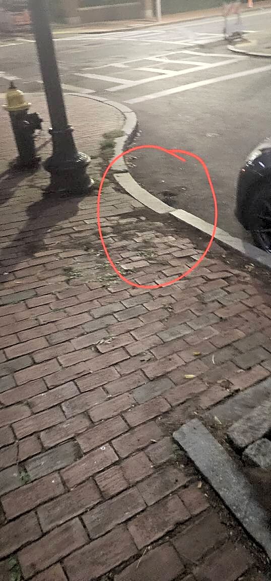 Image submitted with report